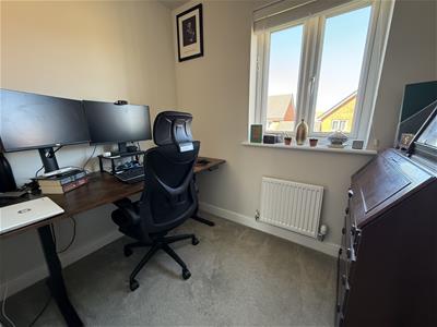 Picture 20